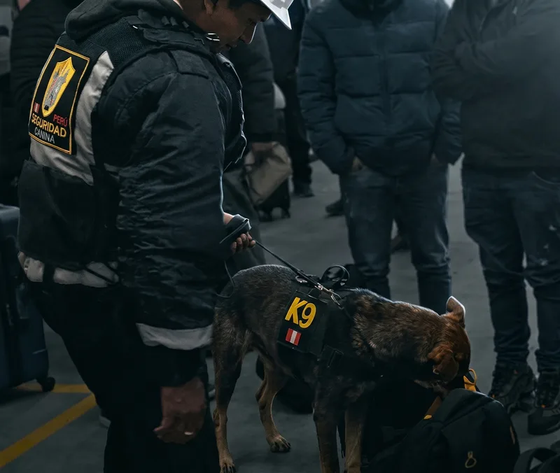 Inspección de Personal en Minería