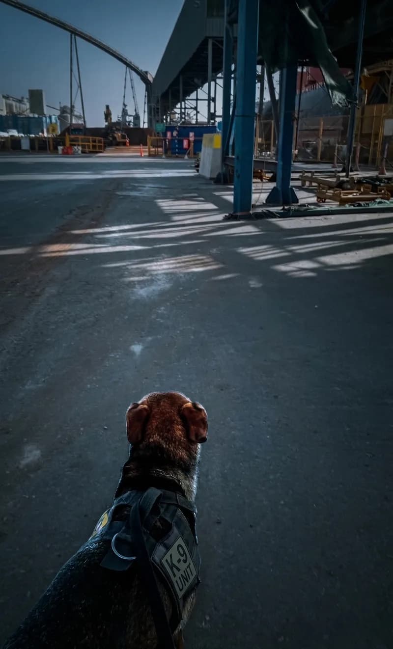 Intervención por Disuasión Visual